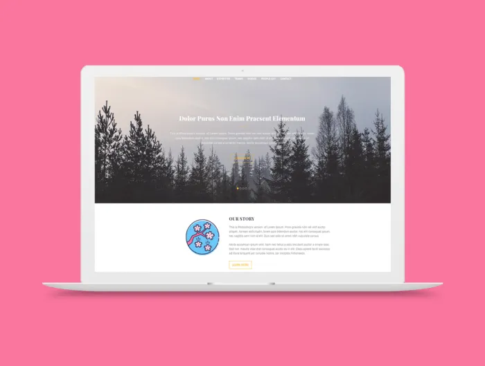 60 Sakura Festival Icons - Malibu Series